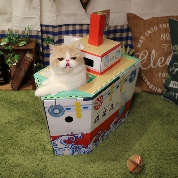 人氣精選玩具【CattyMan】貓用折疊式遊玩紙箱/貓窩-貓若丸號(附紙滾球)