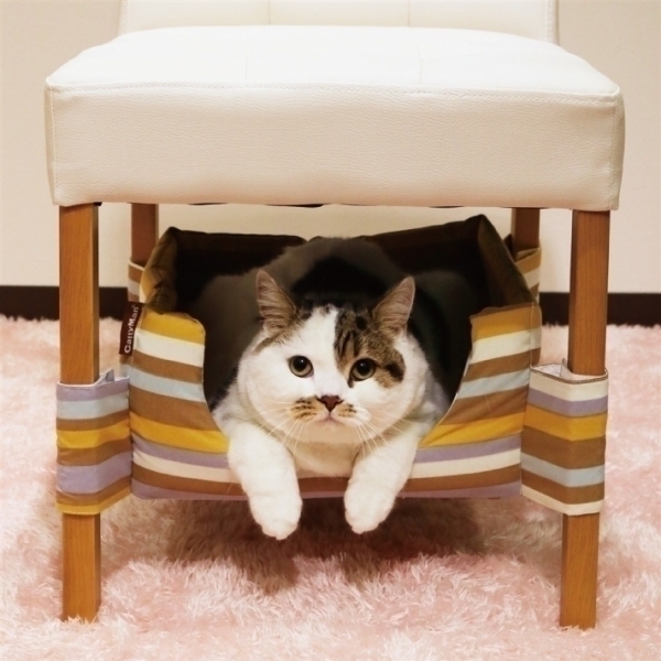 【CattyMan】貓用隱密安心睡窩(兩色任選)