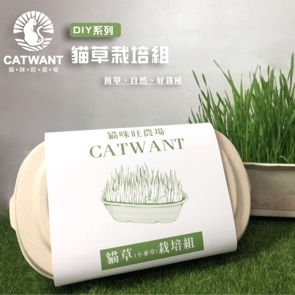 貓咪旺農場－貓草(小麥草)DIY栽培組