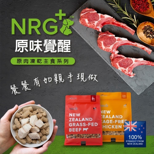 NRG+ 凍乾貓糧 原肉凍乾生食餐 425公克