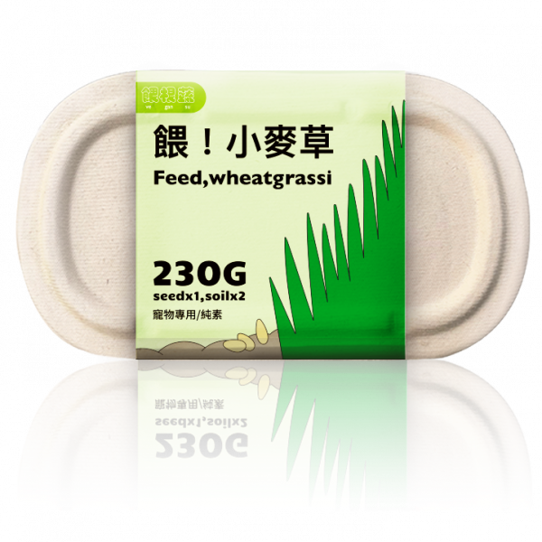 餵根蔬 餵！小麥草 麥草栽種盒 寵物麥草 貓草230公克