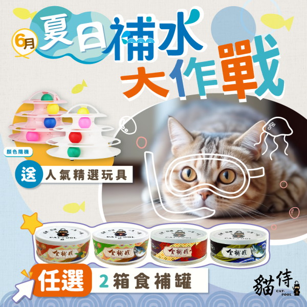 6月夏日補水大作戰【任選兩箱(48罐)食補罐送人氣精選玩具(顏色隨機)】