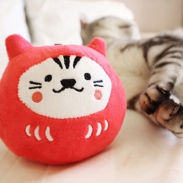 吉豆貓 祈福達摩貓草球 ｜ 家安全(紅) HITOCAT