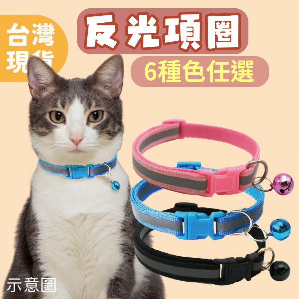 貓咪反光項圈
