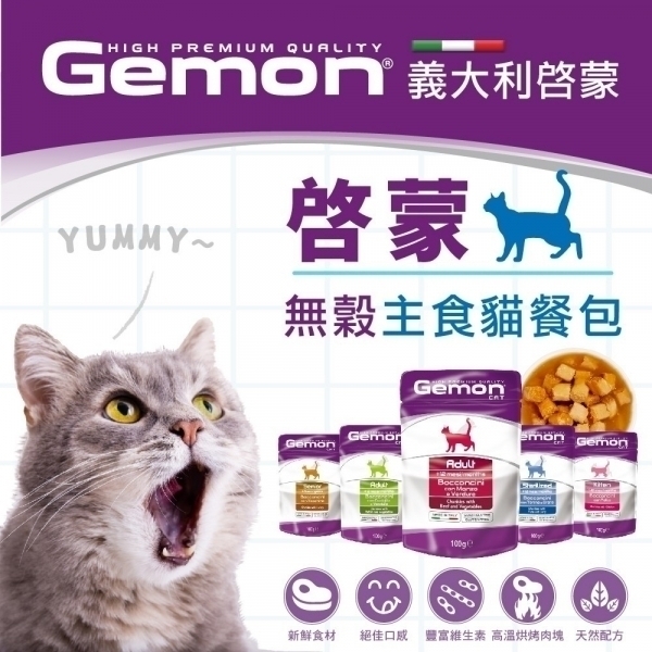 義大利 Gemon 啟蒙 主食貓餐包 多個口味 100公克