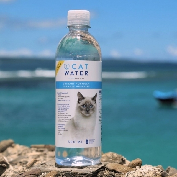 Catwater促泌康 喵喝水 泌尿道保健專用 貓咪限定飲用水 500ML